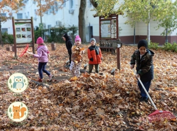 Wiewiórki i Sowy grabiły liście
