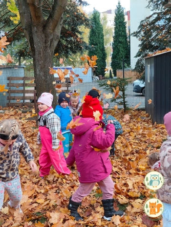 Wiewiórki i Sowy w akcji