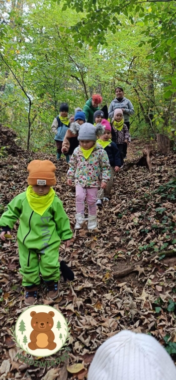 FB_IMG_1761659444531