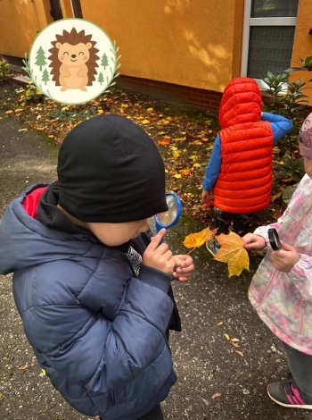 FB_IMG_1762193847016