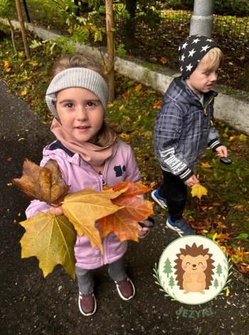 FB_IMG_1762193856755