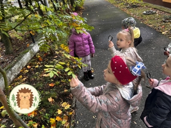 FB_IMG_1762193850673