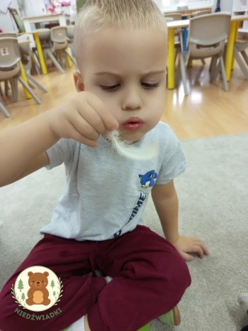 FB_IMG_1762606227952