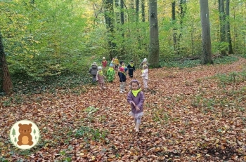 FB_IMG_1762606558326