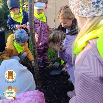 FB_IMG_1763205364556