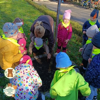 FB_IMG_1763205359772