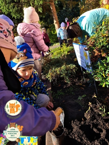 FB_IMG_1763205299372