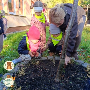 FB_IMG_1763205376098