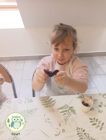 FB_IMG_1764878814799