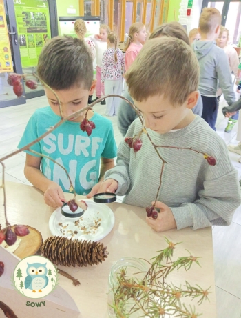 FB_IMG_1764878781754