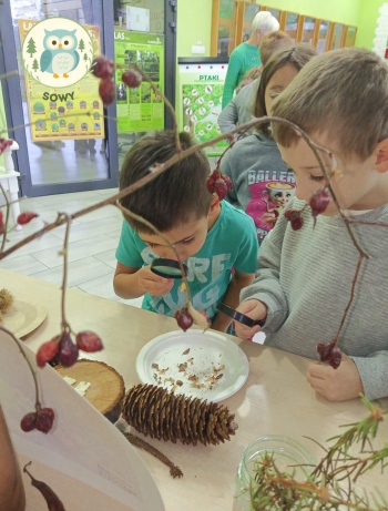 FB_IMG_1764878776382