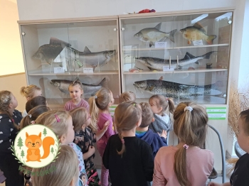 FB_IMG_1764878896369