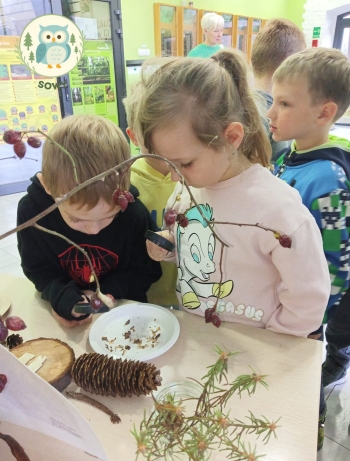 FB_IMG_1764878773670