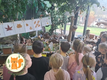 FB_IMG_1764878911108