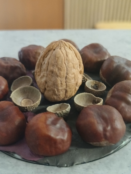 Zawitała do nas Pani jesień