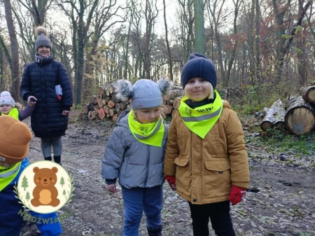 Niedźwiadki na spacerze 